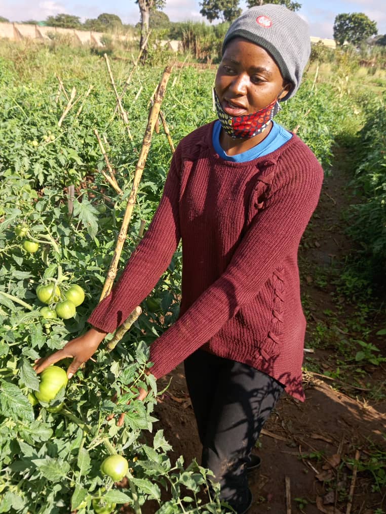 Young Achievers Skills Development Foundation